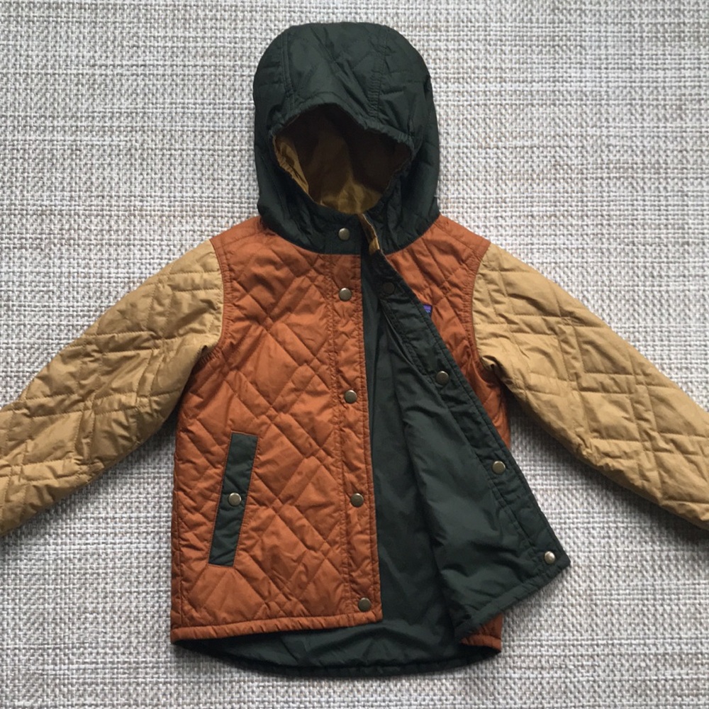Patagonia Reversible Jacket